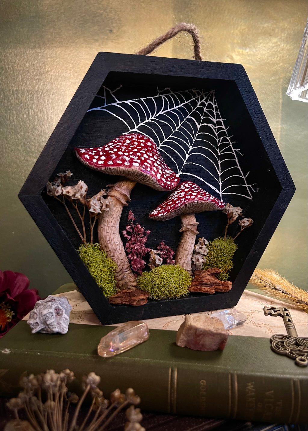 Mushroom Shadow Box
