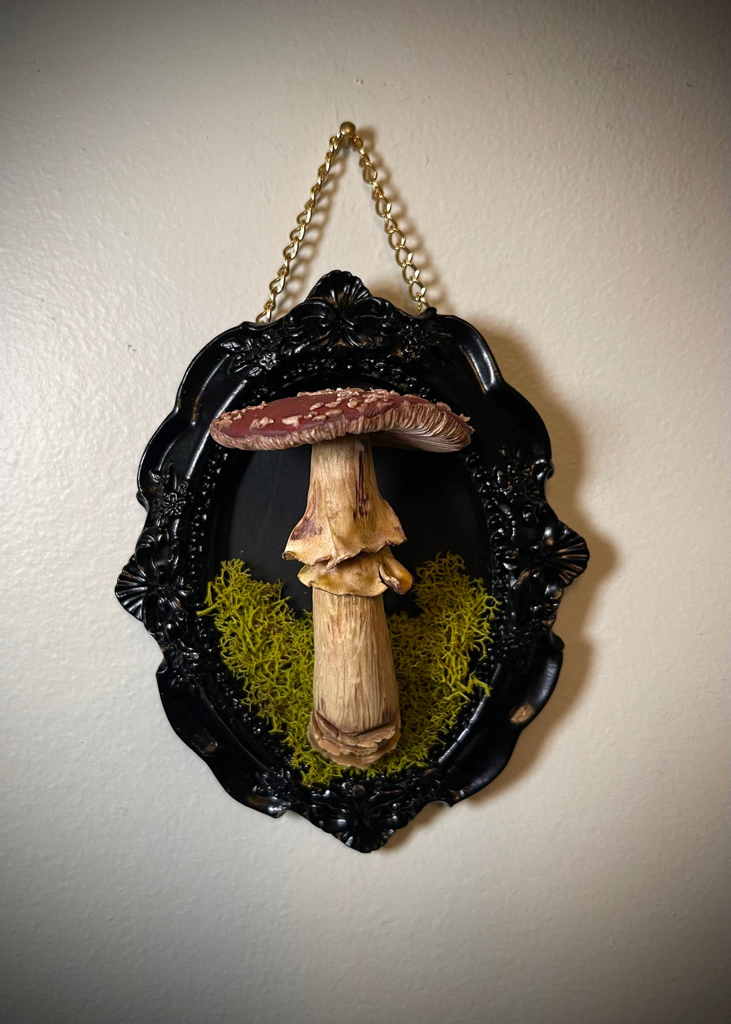 Framed Amanita Muscaria Sculpture