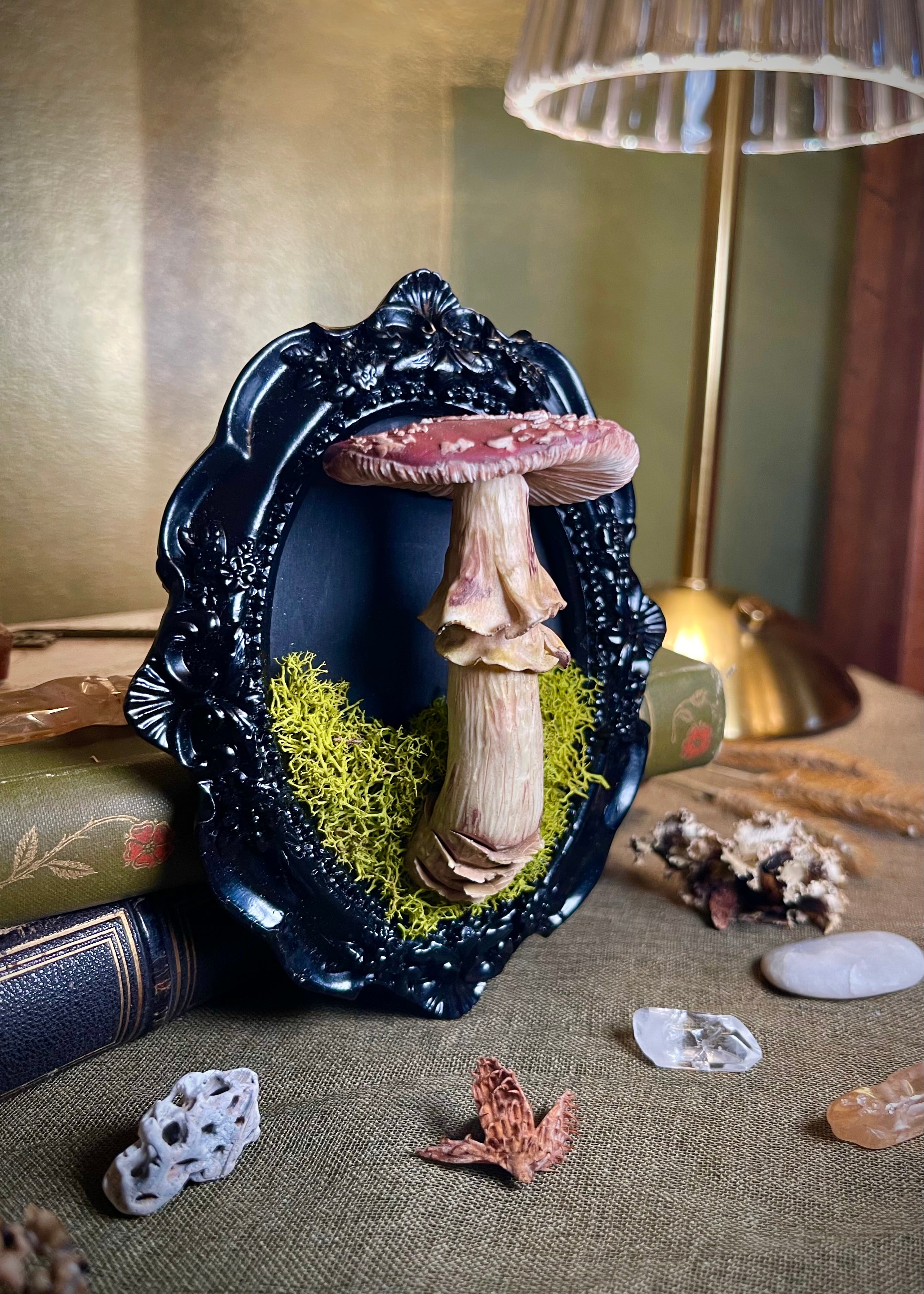 Framed Amanita Muscaria Sculpture