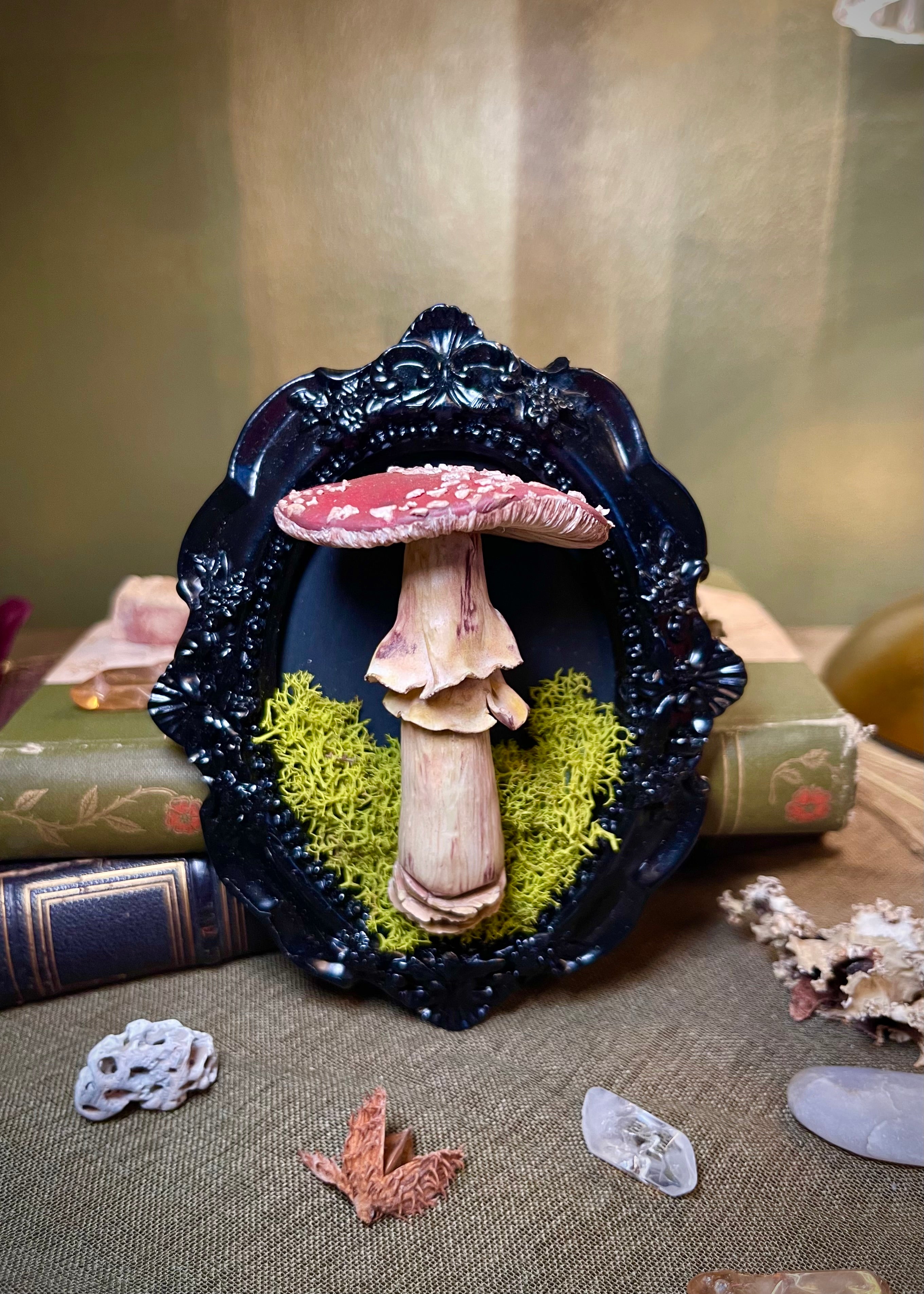 Framed Amanita Muscaria Sculpture