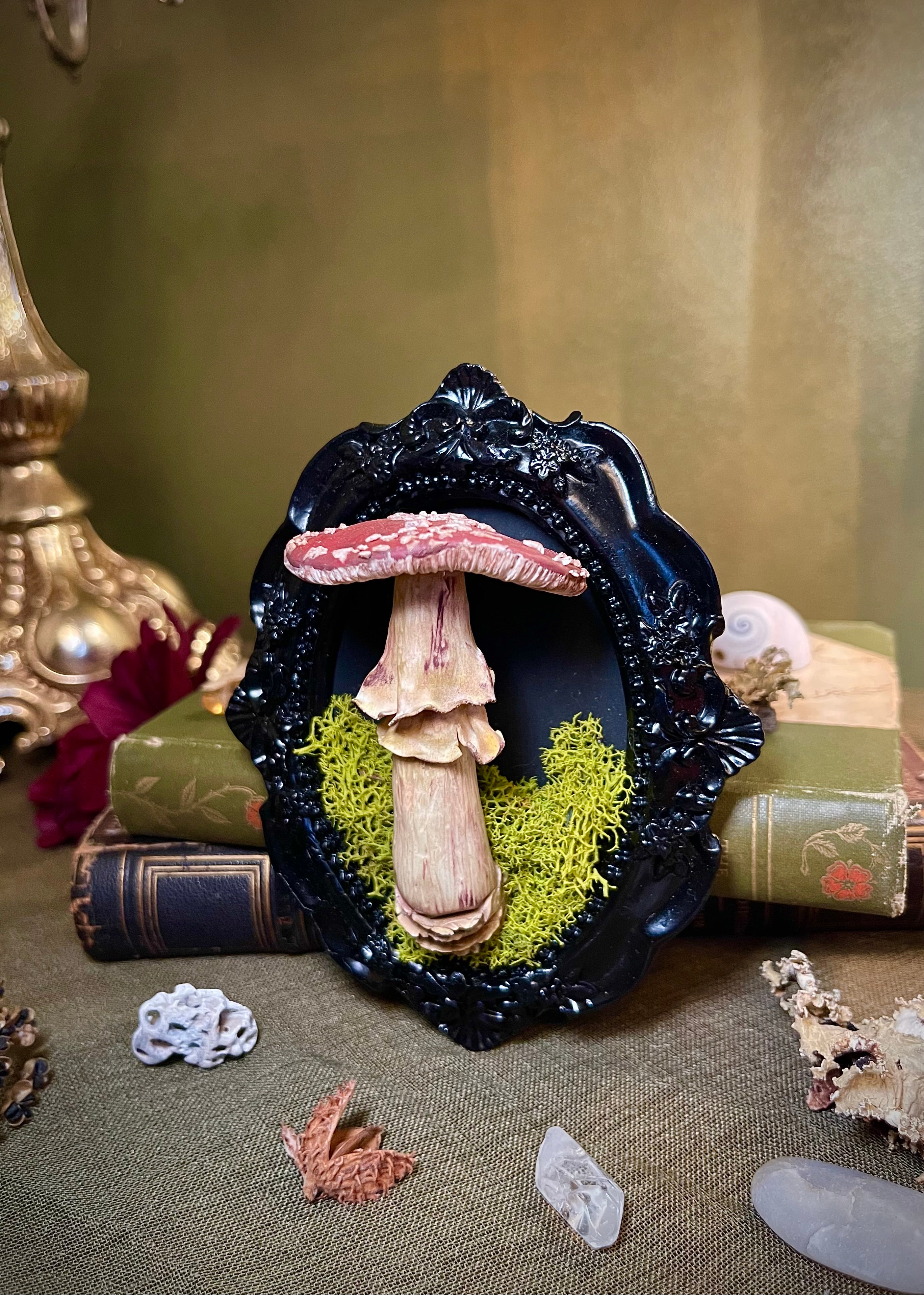 Framed Amanita Muscaria Sculpture