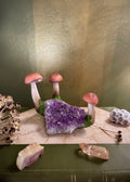 Mushroom Geodes